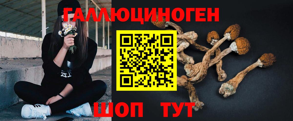 Галлюциногенные грибы Magic Shrooms Коркино